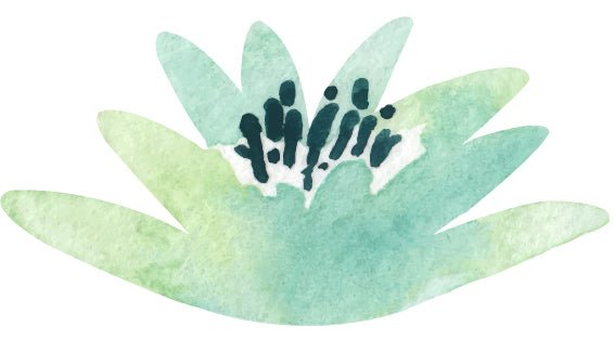 2020: A Year of Learning - Passion Lilie
