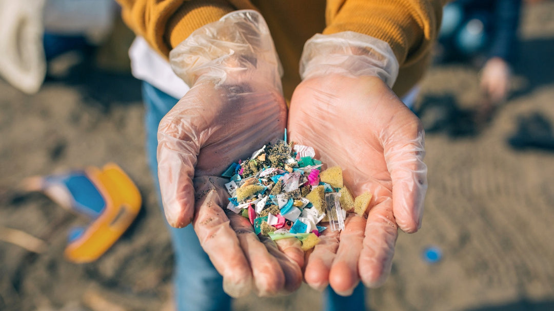 Celebrate Plastic Free July With Passion Lilie - Passion Lilie