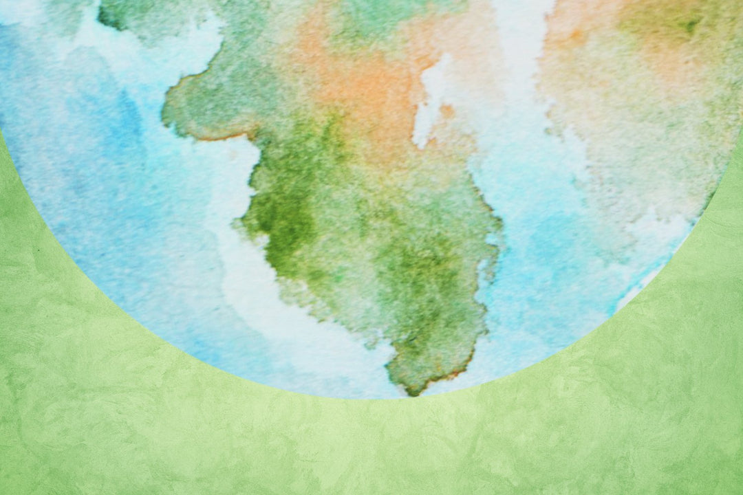 Earth Day 2023: How Passion Lilie Invests in Our Planet and how you can, too - Passion Lilie