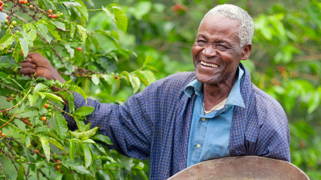 Passion Lilie Crossroads: Where Sustainability and Fair Trade Practices Intersect - Passion Lilie