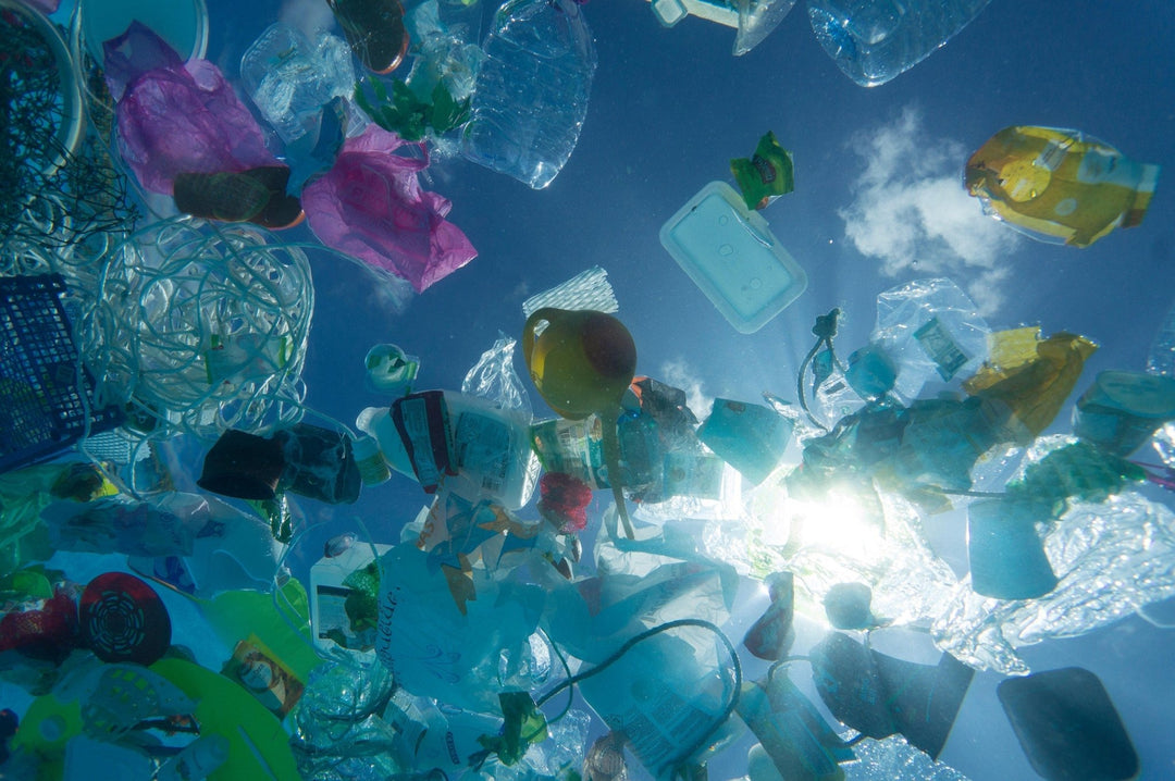 Sustainable Swaps to Change Your Life During Plastic Free July - Passion Lilie