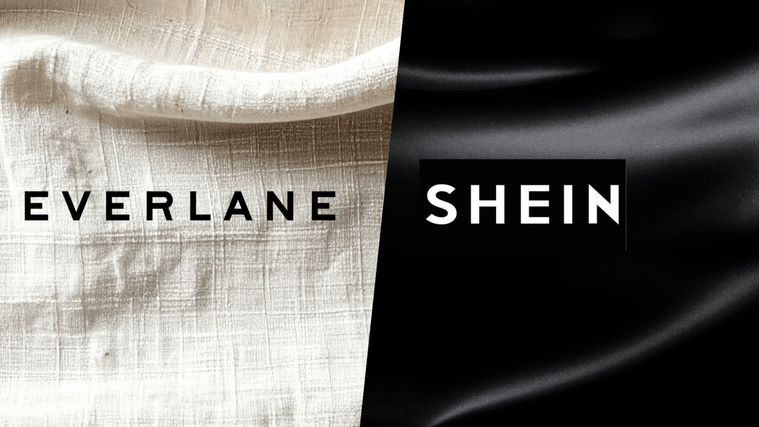 The Everlane-Shein Deal Is a Wake-Up Call for Sustainable Fashion - Passion Lilie