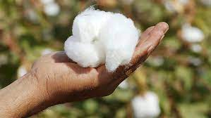 The Natural Choice: Why Organic Cotton is the Best Fabric Option - Passion Lilie