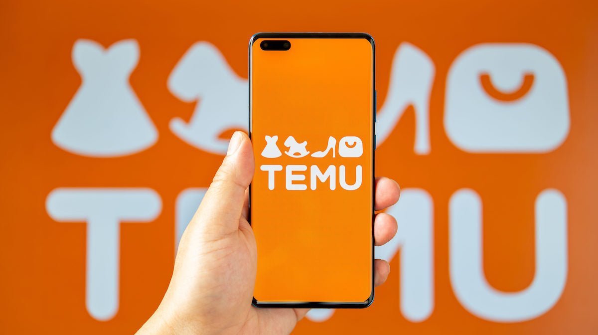 What's the deal with Temu? - Passion Lilie