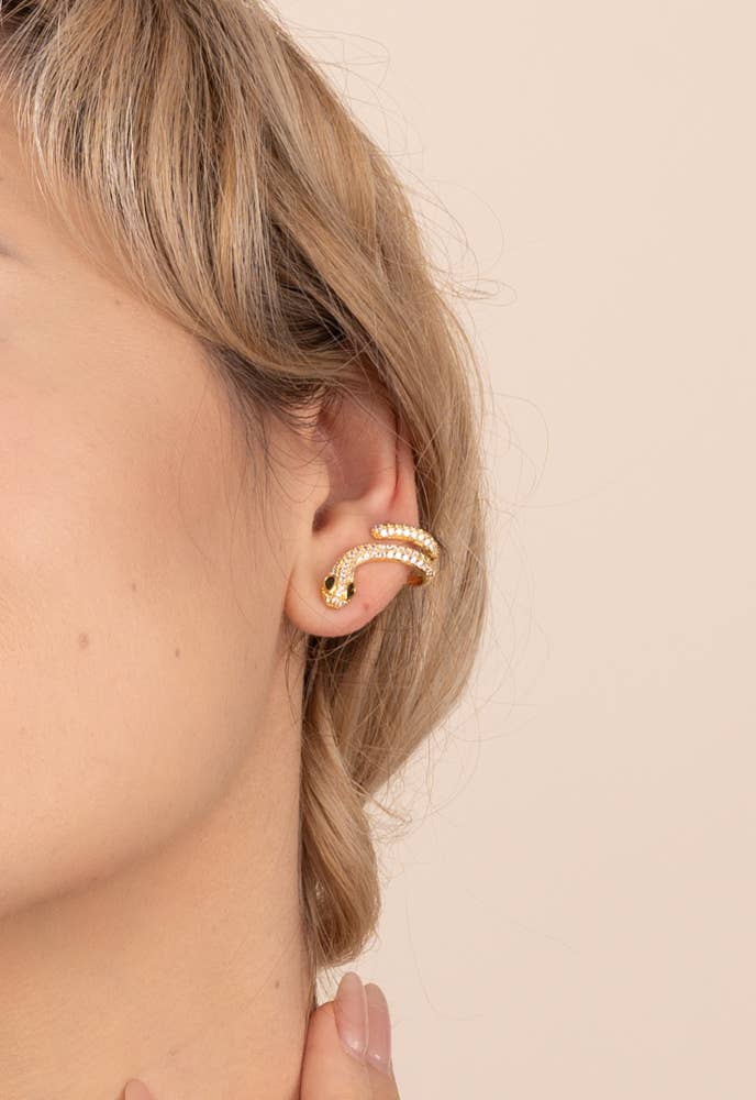 Little Dragon Earrings