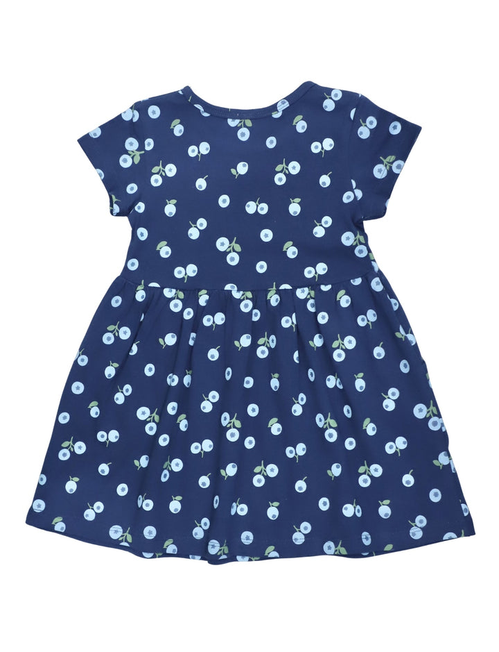 Little Blueberry Organic Twirl Dress - Passion Lilie