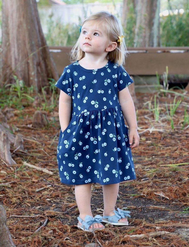 Sweet Little Girl's Blueberry Dress I Organic Twirl Dress Passion Lilie