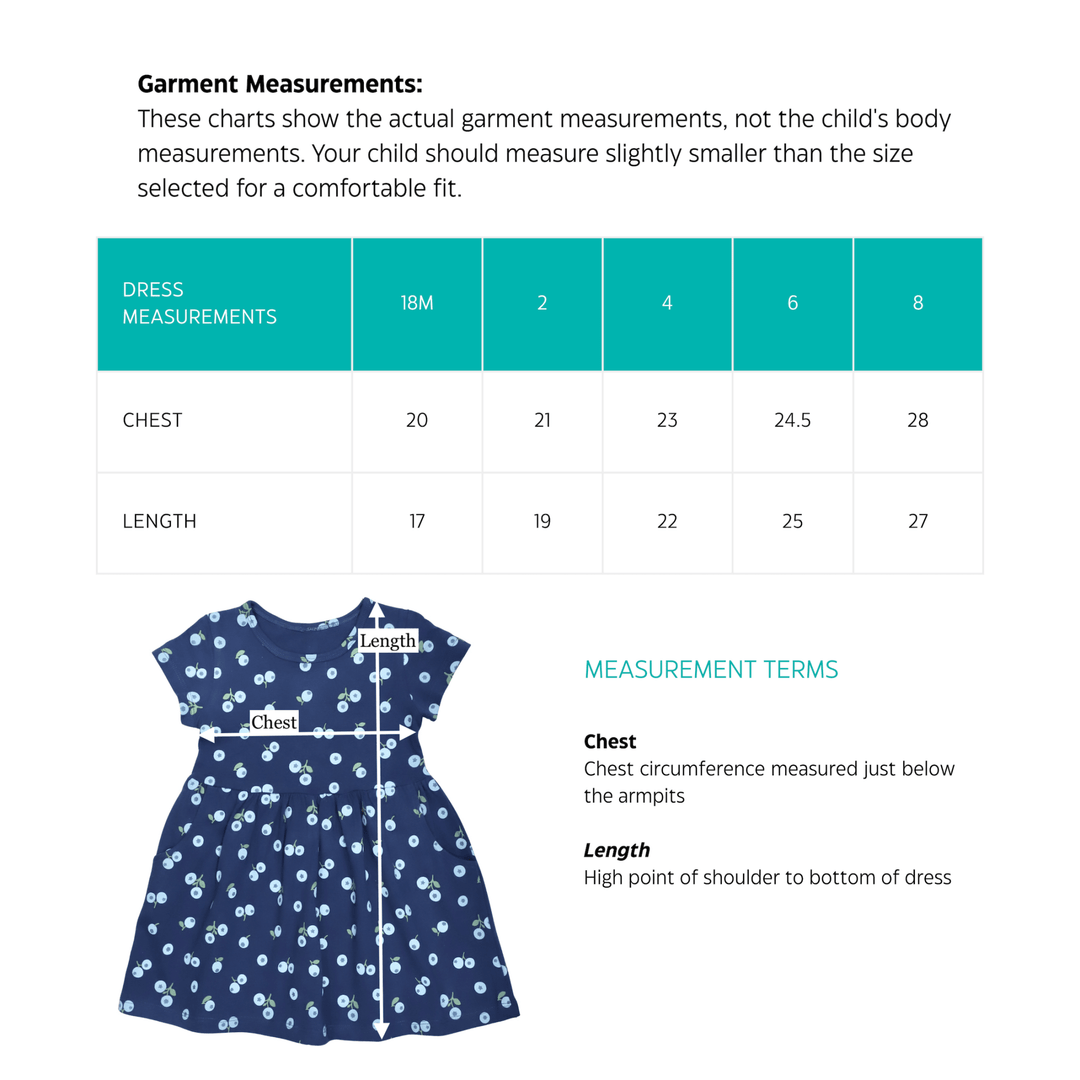 Little Blueberry Organic Twirl Dress - Passion Lilie