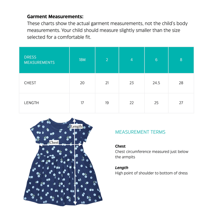 Little Blueberry Organic Twirl Dress - Passion Lilie