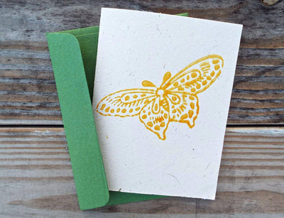 Butterfly Greeting Card - Passion Lilie