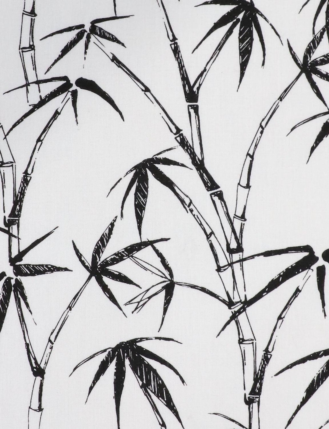 Palm Paradise Organic Cotton Men&