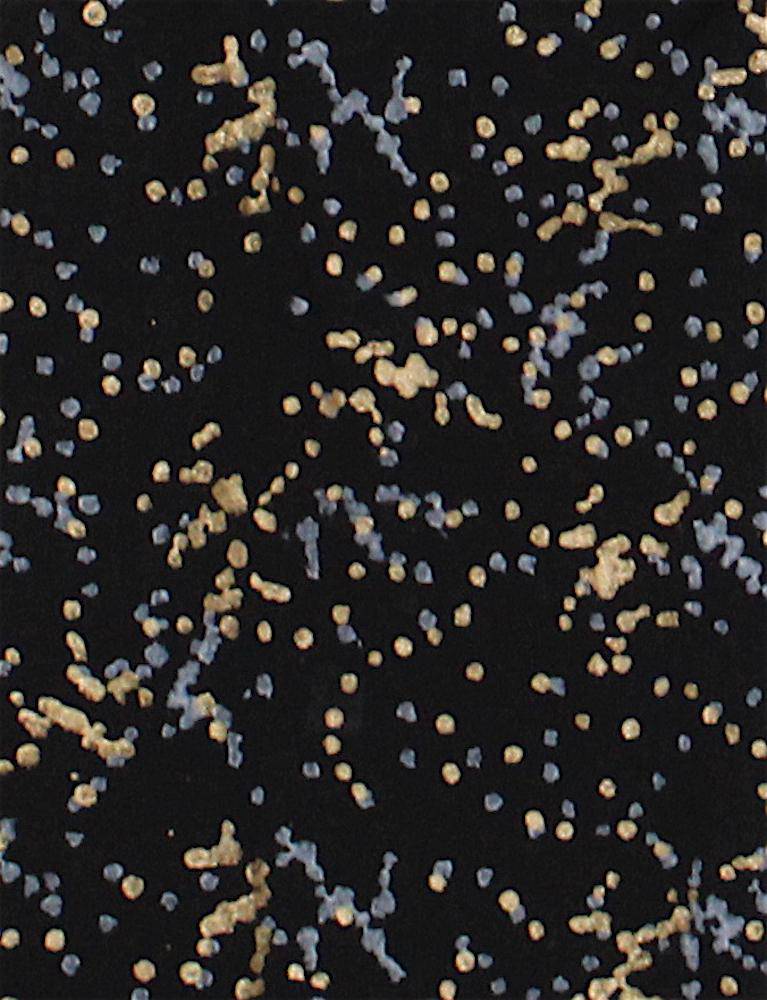 Splatter Dot Scarf - Organic Cotton - Passion Lilie